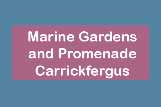 free days out with kids in County Antrim