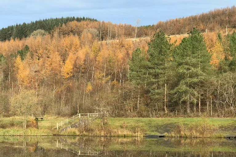 free things to do with kids in Caerphilly