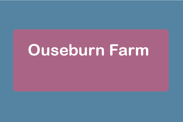 free things to do with kids in Tyne and Wear