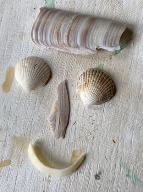 Activities for kids to do on a beach