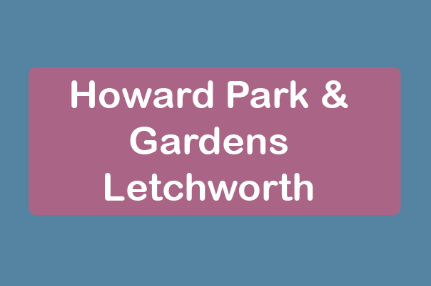 free things to do with kids in Hertfordshire