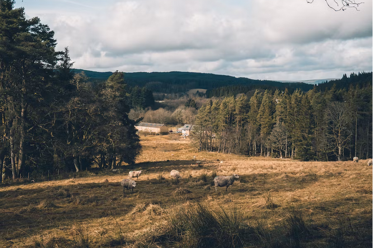 free things to do with kids in Northumberland