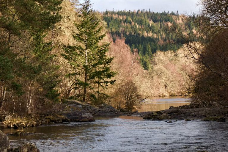 free things to do with kids in Perth and Kinross