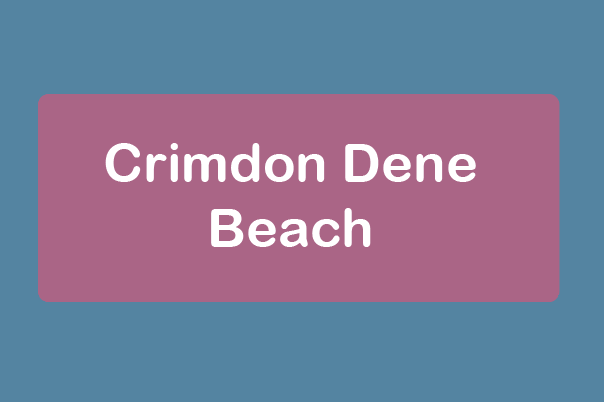 free things to do with kids in Durham