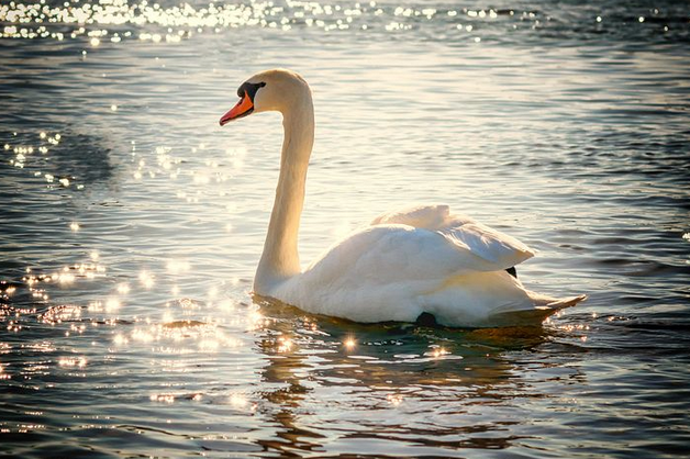 free things to do with kids in Denbighshire