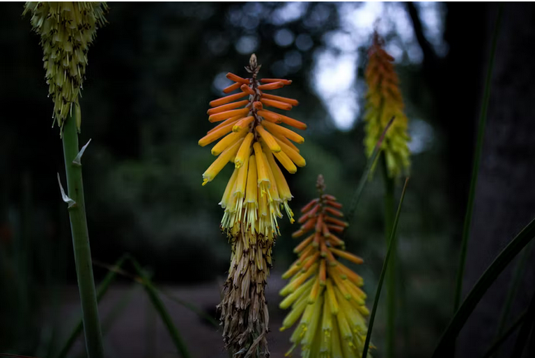 free things to do with kids in South Yorkshire