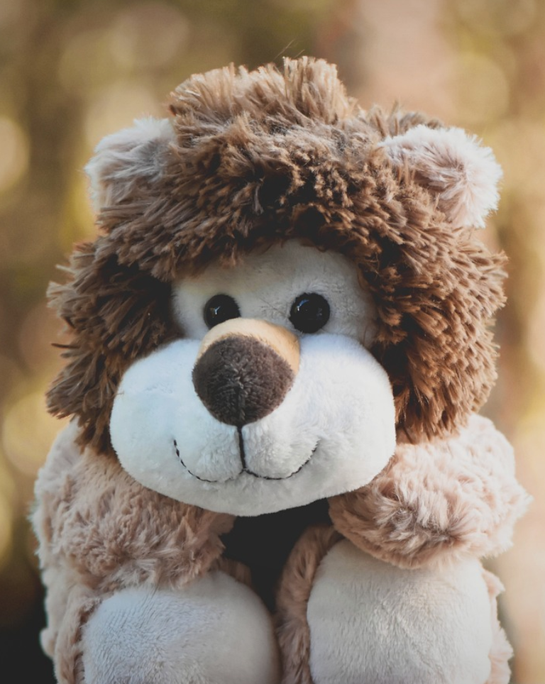 safari themed activities for kids