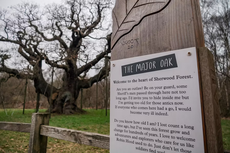 free things to do with kids in Nottinghamshire