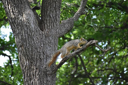 free things to do with kids in Newport