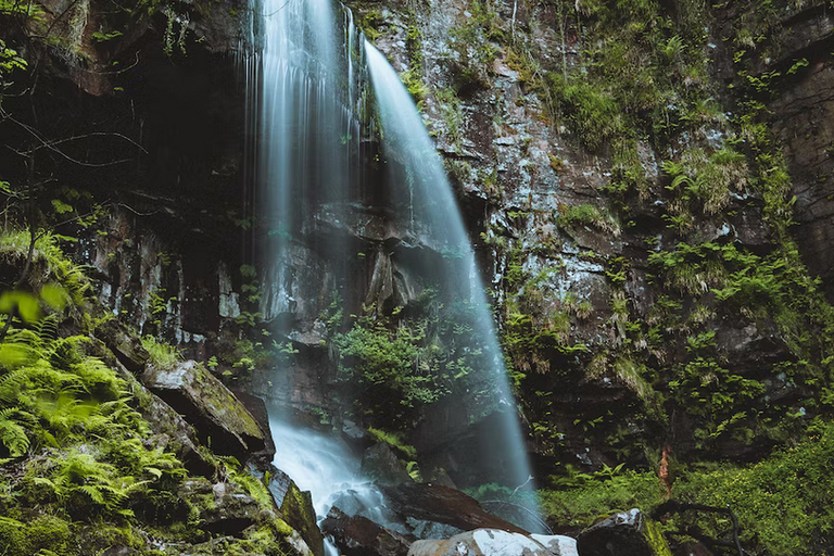 Free family days out and places to visit in Neath Port Talbot