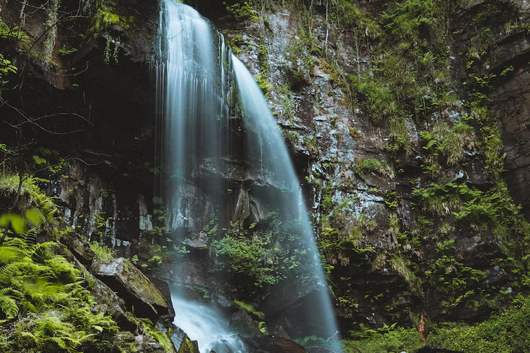 free things to do with kids in Neath Port Talbot