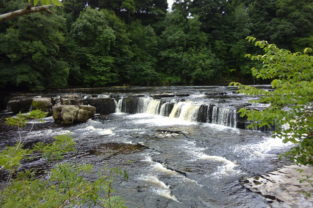 free things to do with kids in North Yorkshire