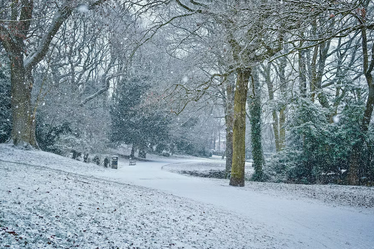 free things to do with kids in South Yorkshire