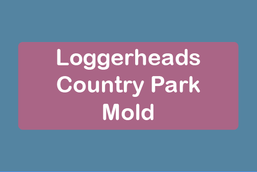 free things to do with kids in Flintshire