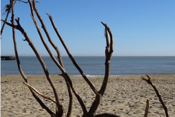 free things to do with kids on the Isle of Wight