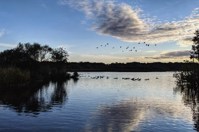 free things to do with kids in Hampshire