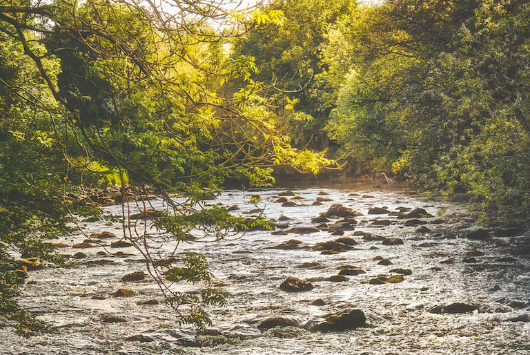 free things to do with kids in Derry