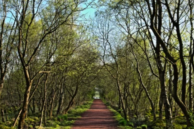 free things to do with kids in North Lanarkshire