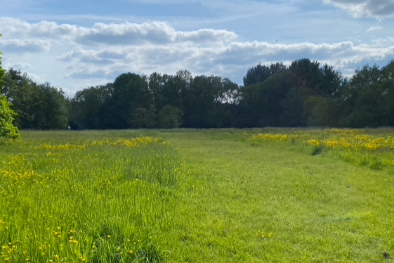 free things to do with kids in Oxfordshire