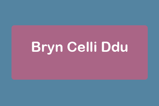 free things to do with kids on the Isle of Anglesey