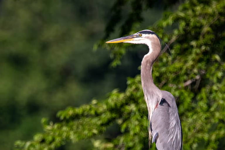 Free family days out and places to visit in Buckinghamshire