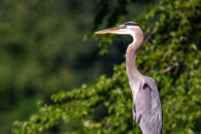 free things to do with kids in Buckinghamshire