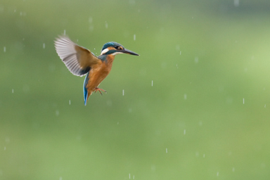 free things to do with kids in Rhondda Cynon Taff