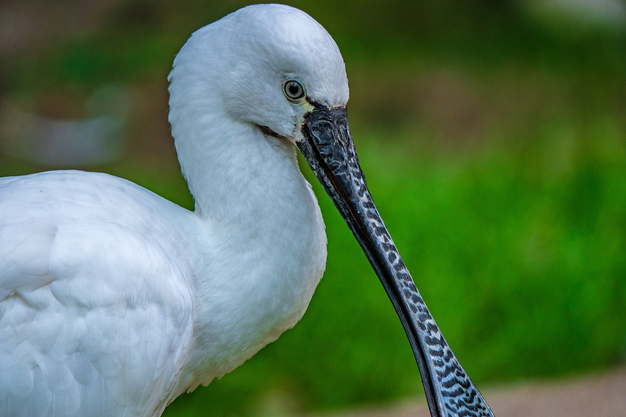 free things to do with kids in Norfolk