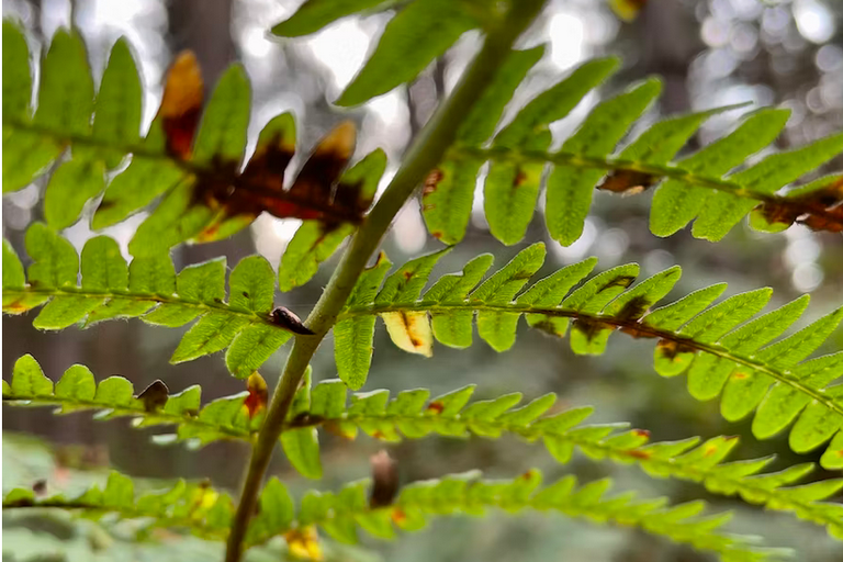 free things to do with kids in Nottinghamshire