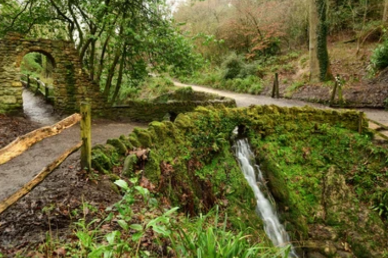 free things to do with kids in Somerset