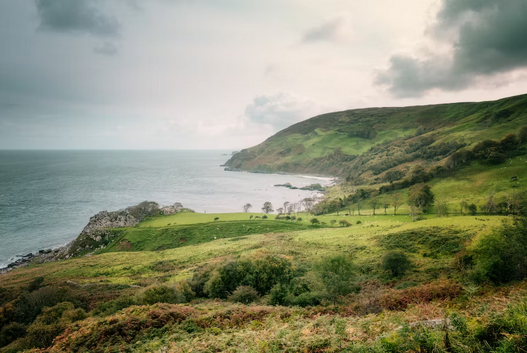 free things to do with kids in County Down