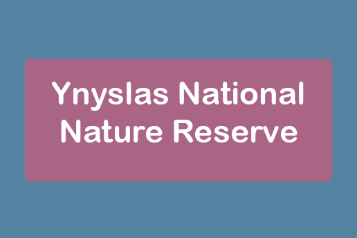 free things to do with kids in Ceredigion