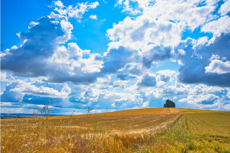 free things to do with kids in Oxfordshire