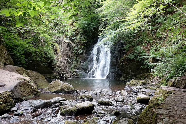 free days out with kids in County Antrim