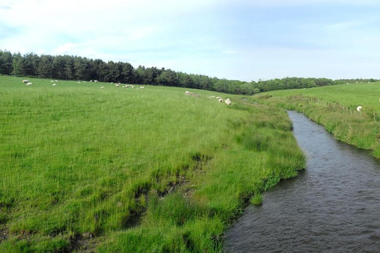 free things to do with kids in Fife