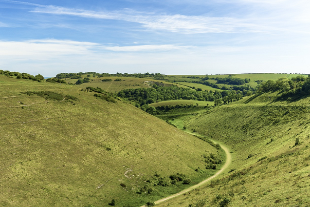 free things to do with kids in West Sussex