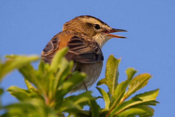 free things to do with kids in Cambridgeshire