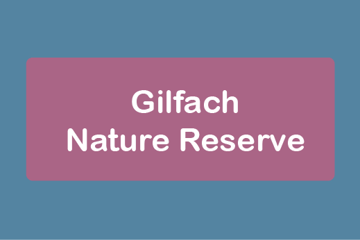 free things to do with kids in Powys