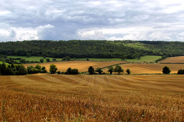 free things to do with kids in Buckinghamshire