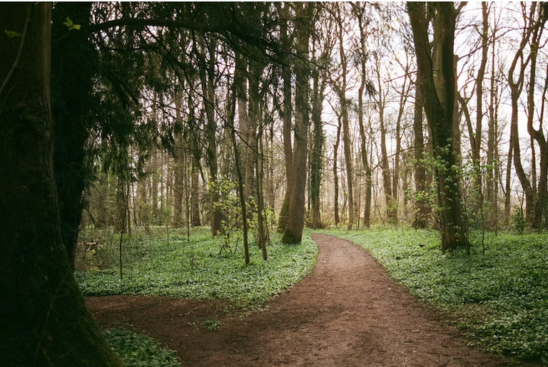 free things to do with kids in Wrexham