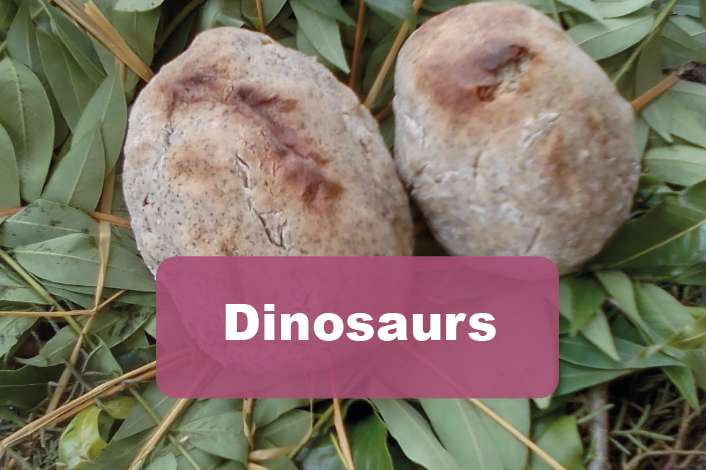 dinosaur activites for kids