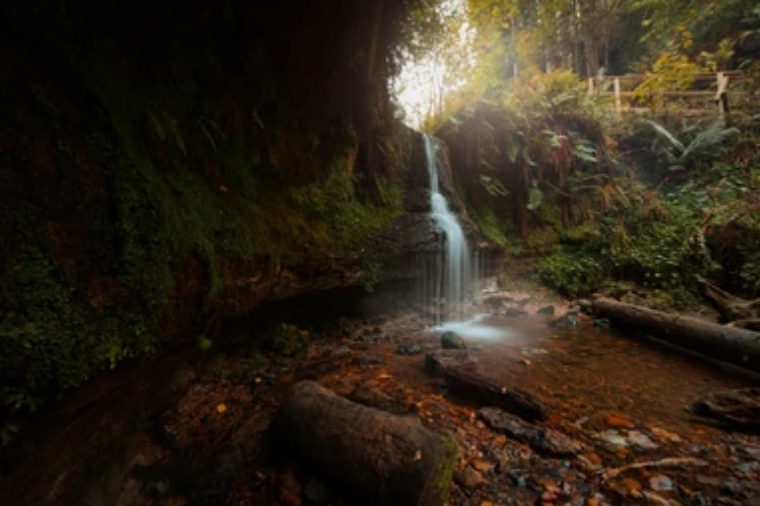 Free family days out and places to visit in Fife