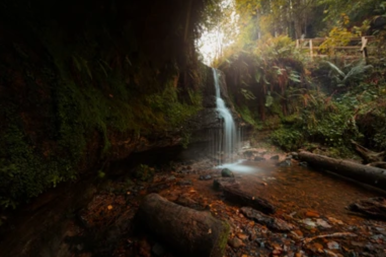 free things to do with kids in Fife