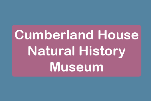 free things to do with kids in Hampshire