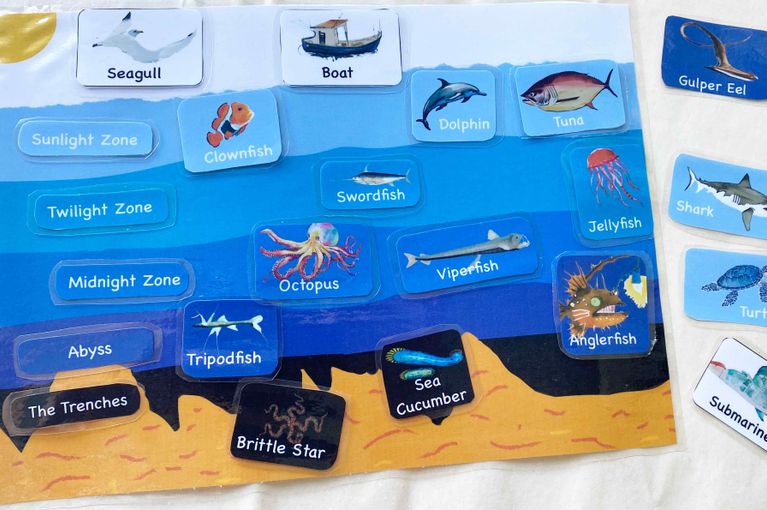 Ocean Zones printable