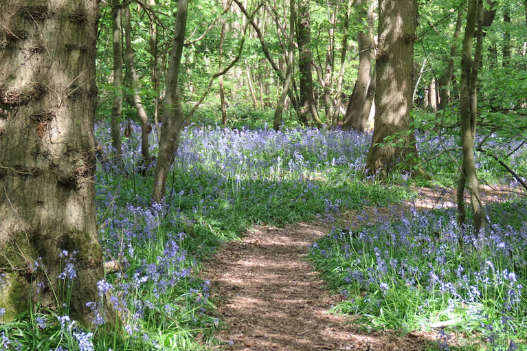 free things to do with kids in Worcestershire