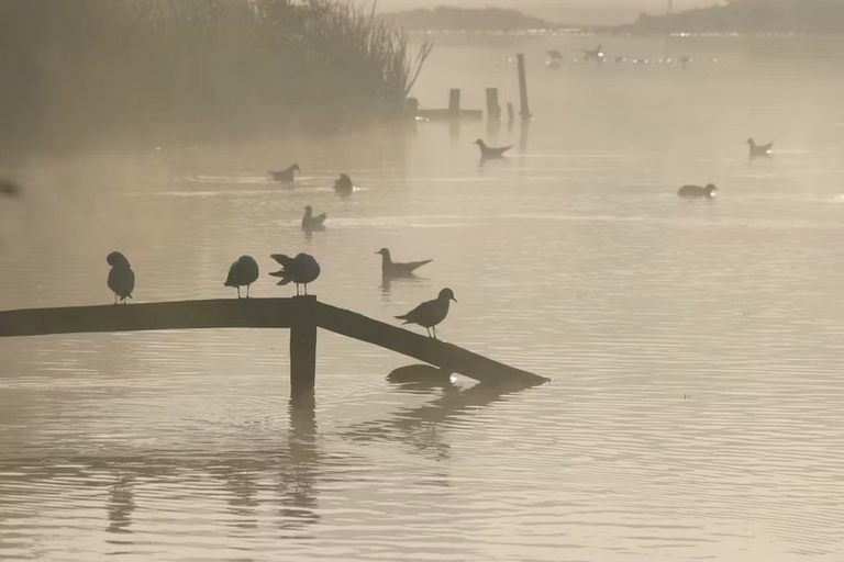 free things to do with kids in West Midlands