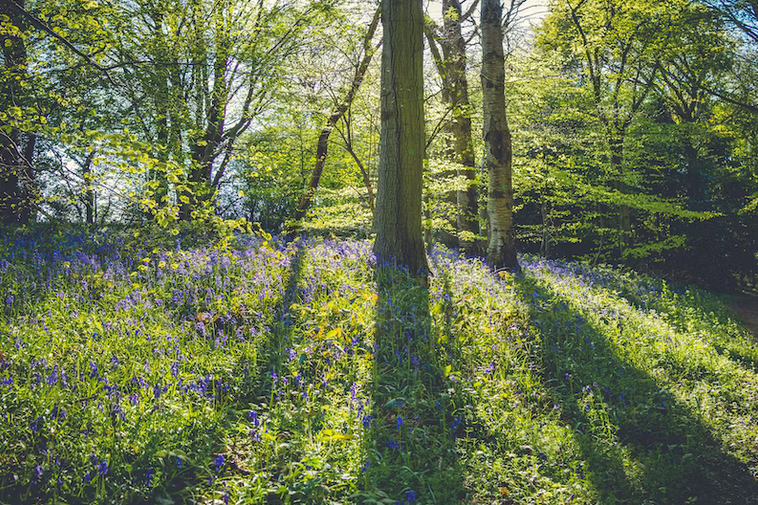 free things to do with kids in Merseyside