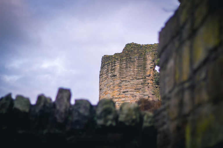 free things to do with kids in Flintshire