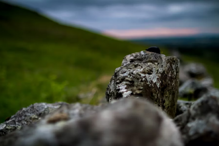 free things to do with kids in Renfrewshire